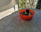 Foto del paso 6 de la receta Postre de kiwi con yogur de cereales