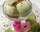 Foto del paso 6 de la receta: Helado de melón elaborado con la Monsieur Cuisine Plus