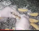 صورة لخطوة 3 من وصفة فطاير شكل ورده روعه