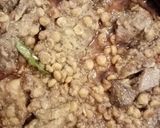 খাসির গোশতে বুটের ডাল। রেসিপির ধাপ 6 ছবি