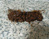 Foto del paso 4 de la receta: Salchichón de chocolate. Súper fácil y ¡delicioso!