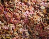 Foto del paso 2 de la receta: Guiso tirabuzón con carne picada