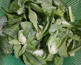 Foto langkah ke 1 dari resep Cah Ceciwis Bawang Putih.