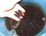 Foto del paso 1 de la receta: Alubias negras, blancas a la provenzal con callos madrileños