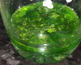 મિન્ટેડ ખસ મોકટેલ(Mint Mocktail Recipe in Gujarati) રેસીપી સ્ટેપ2ફોટો