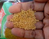 A picture of step 4 of Thinai (Foxtail Millet) Sambar Sadam.