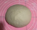 Foto langkah ke 2 dari resep Mantou.
