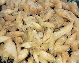 Foto langkah ke 3 dari resep Keripik Pedas Kulit Lumpia.