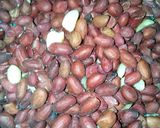 Peanut Burgermatakin girki1 hoto
