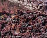 Foto langkah ke 4 dari resep Bolu Pisang Coklat.