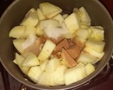 Foto del paso 5 de la receta: Strudel de Manzana con salsa y helado