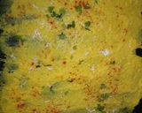 A picture of step 7 of Khandvi.