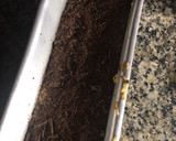 Foto del paso 3 de la receta: Bizcocho de naranja