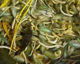 Foto langkah ke 4 dari resep Masakan Kerang Kaco Khas Betawi.