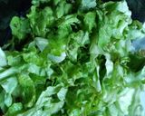 Foto del paso 1 de la receta: Cena rapidísima con zanahorias y lechuga