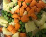 Vegetable Stew recipe step 1 photo