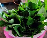 รูปขั้นตอนการทำที่ 5 ของ แกงหยวกกล้วย(เจ) #กินผักรักสุขภาพ2