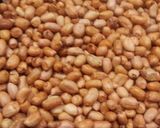 A picture of step 1 of Homemade Peanut butter.