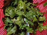 Tumis Pakis Jagung