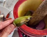 A picture of step 1 of Triple Dipping Dip.