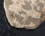 बाजरे की रोटी (Bajre ki roti recipe in Hindi) रेसिपी चरण 3 फोटो
