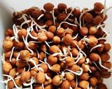 A picture of step 1 of Black Chana Biriyani.