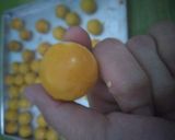 Foto langkah ke 7 dari resep Nastar 1 kg.