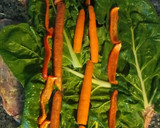 Foto del paso 1 de la receta: Matambre