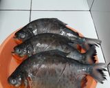 Foto langkah ke 1 dari resep Pesmol ikan bawal Ajiibb.