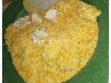 Tahu Panir