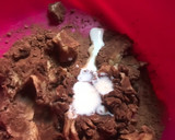 A picture of step 5 of Cookies.