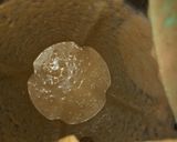 Foto langkah ke 3 dari resep Puding kulit roti energen coklat.