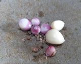 Foto langkah ke 2 dari resep Isian timlo ala rumahan(makaroni+jamur kuping).