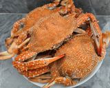 Foto langkah ke 1 dari resep Kepiting rajungan rebus.