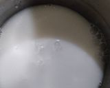 Foto langkah ke 6 dari resep Cendol Kecebung.