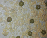 Foto del paso 3 de la receta: Ensaladilla de patatas con mayonesa ybarra ligera