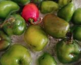Foto langkah ke 1 dari resep Ase Cabe Gendot.