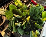 A picture of step 2 of Korean spinach side dish (시금치무침).