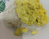 Foto del paso 4 de la receta: Pollo al curry 4 ingredientes