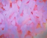 A picture of step 1 of Light pink rice with fish sauce.