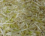 Hình bước làm 1 của món Giá xào thịt xay
