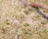 Une image de l'étape 7 de Pâtes aux brocolis.
