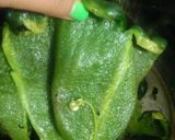 Foto del paso 1 de la receta: Rajas con crema