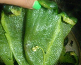 Foto del paso 1 de la receta: Rajas con crema