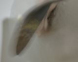 Foto langkah ke 2 dari resep Ayam Sawi Asin.