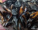 Foto del paso 1 de la receta: Sepia y mejillones a la donostiarra 😹😹