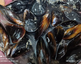 Foto del paso 1 de la receta: Sepia y mejillones a la donostiarra 😹😹