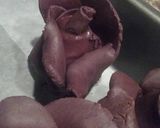 A picture of step 16 of Chocolate Strawberry Roses.