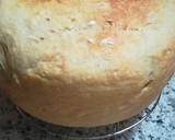 Foto del paso 1 de la receta: Hogaza de pan en la olla GM g