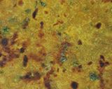 A picture of step 4 of Missi roti.